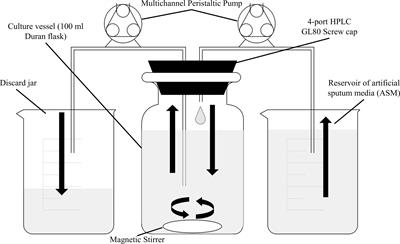 A Continuous-Flow Model for in vitro Cultivation of Mixed Microbial Populations Associated With Cystic Fibrosis Airway Infections